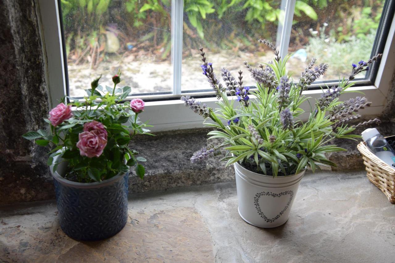 Sweetbriar Cottage Bed & Breakfast And Camping Starbotton エクステリア 写真